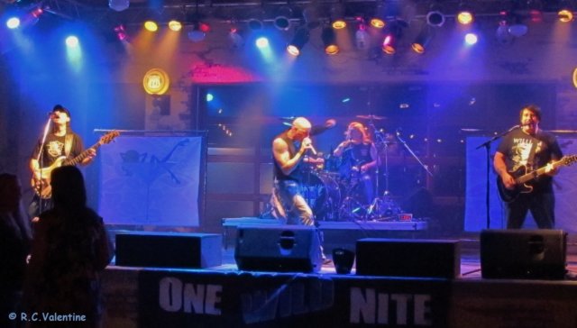 onewildnite20122.jpg